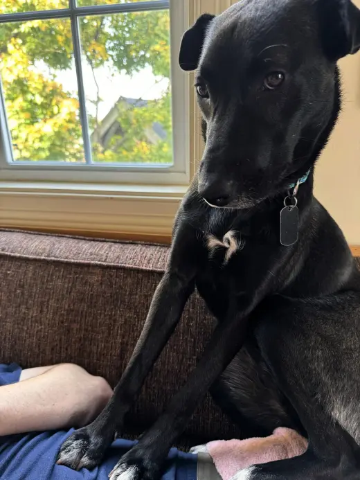Luna