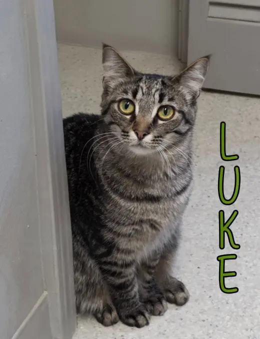 Luke