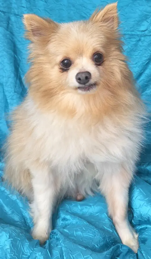 Gabe