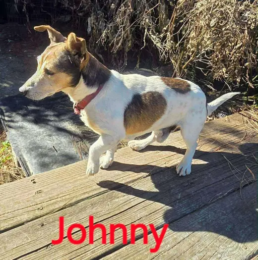 Johnny *
