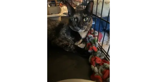 Fiona