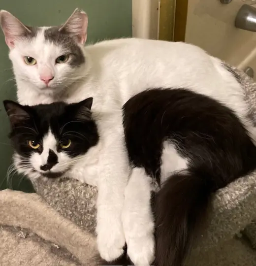Mallory bonded with Fran