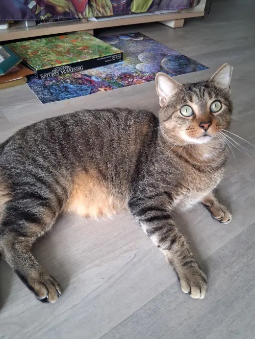 Sammy