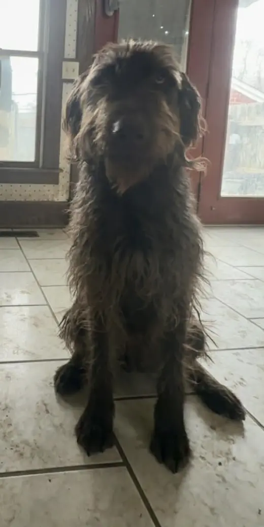 Leroy