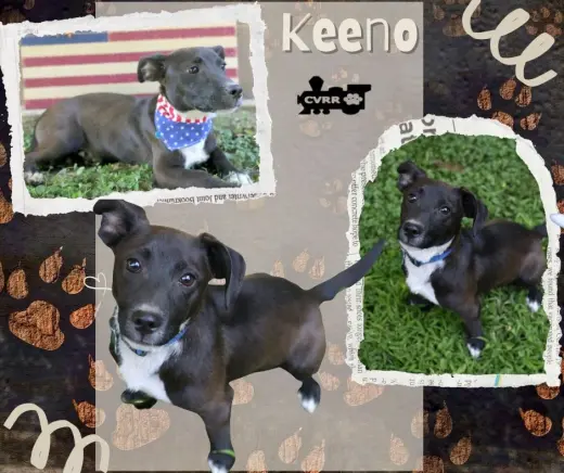 Keeno