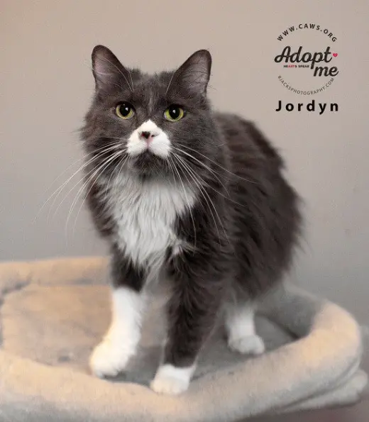 Jordyn