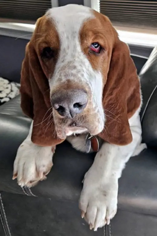 COPPER