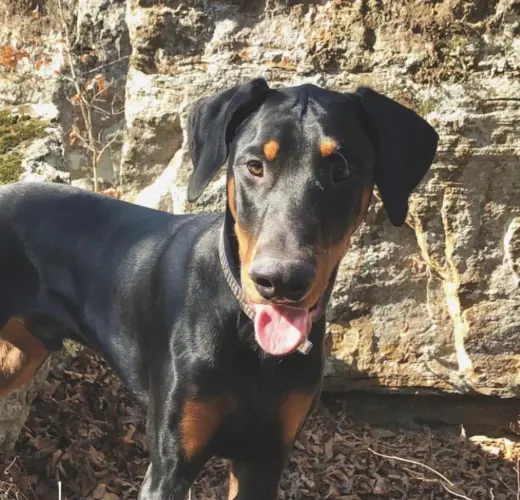 Benny
