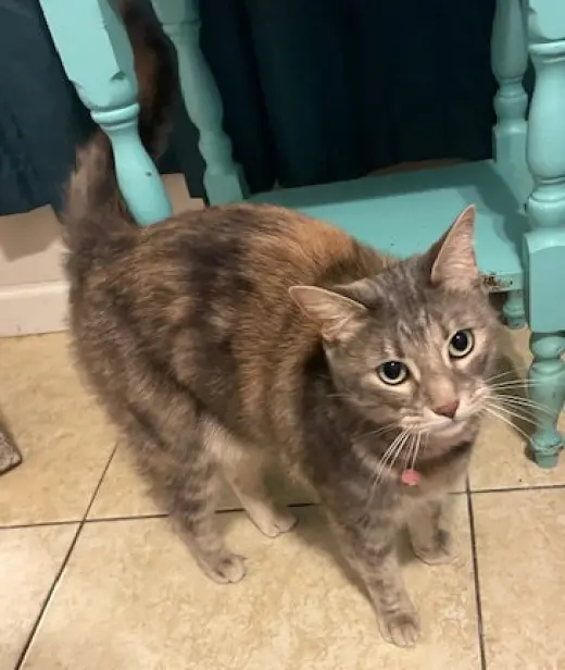 Helen