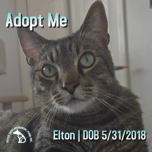 Elton