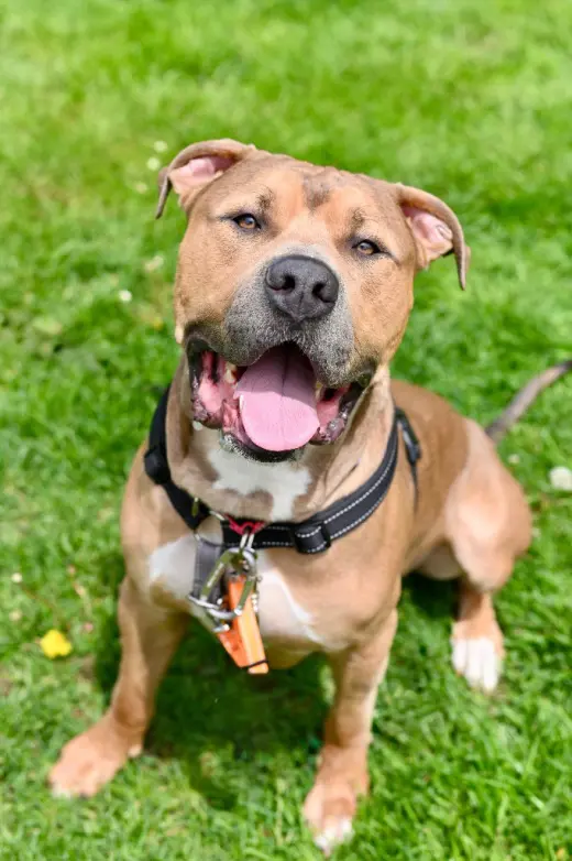 Zeus