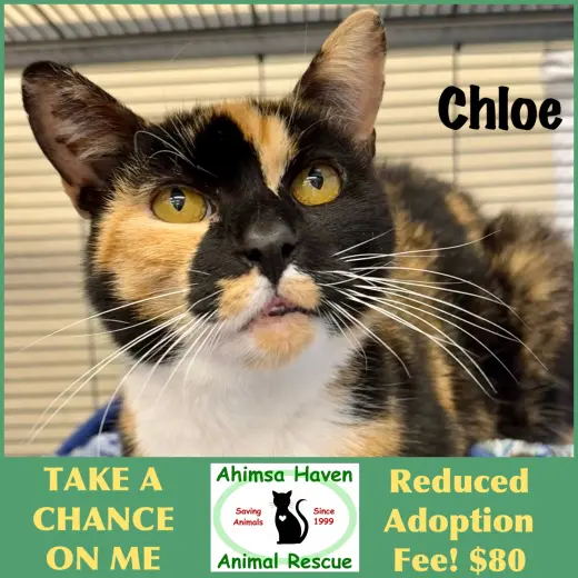 Chloe