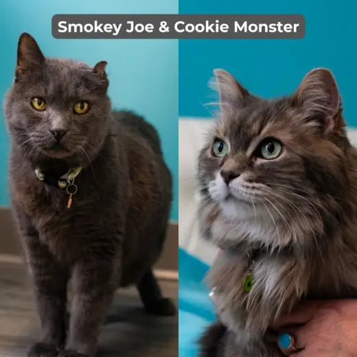 Smokey Joe / Cookie Monster