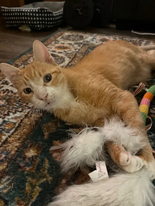 Clawed