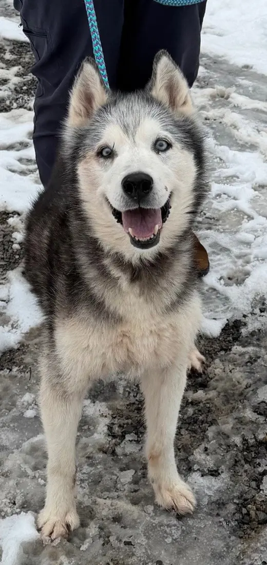 Kira: Bonded with Lucy