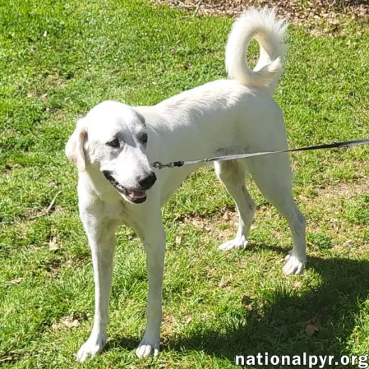 Lady in LA - Sweet, Sassy & Playful!