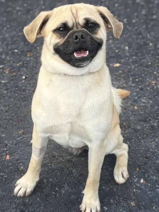 Jack