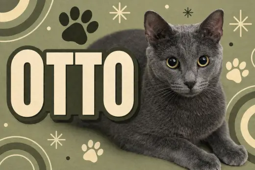 Otto (FCID# 07/28/2025 - 59) C
