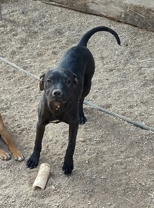 Axle