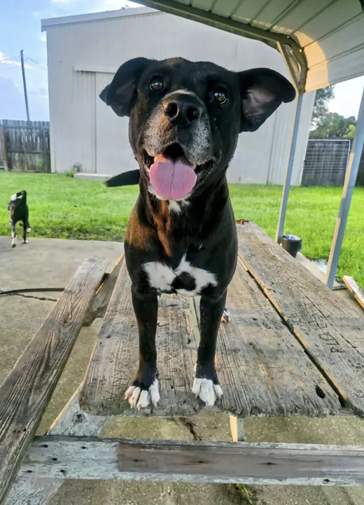 India - sweet soulful girl