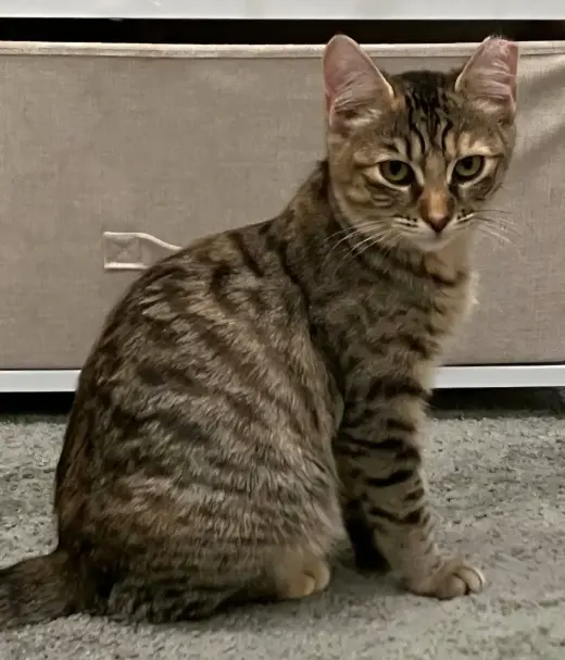 Tiny