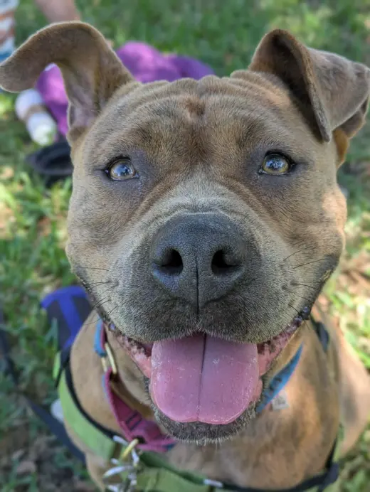 Xena