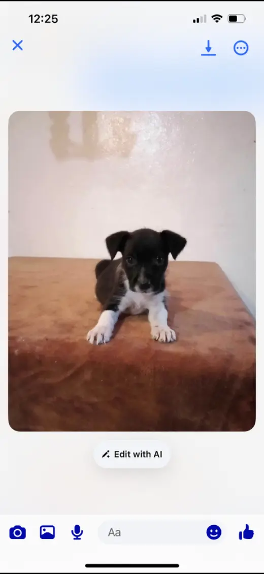 Ranger