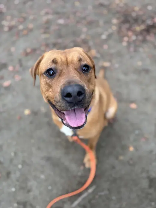 Ivy (from NYC)