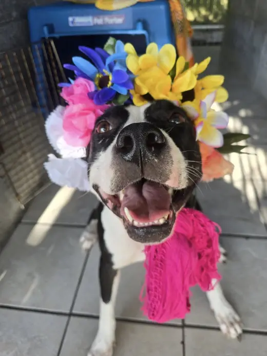 Grace - Confident and Quirky Girl