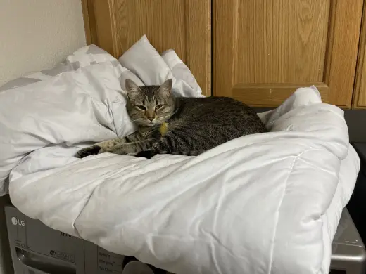 Penny (aka Princess Penelope)