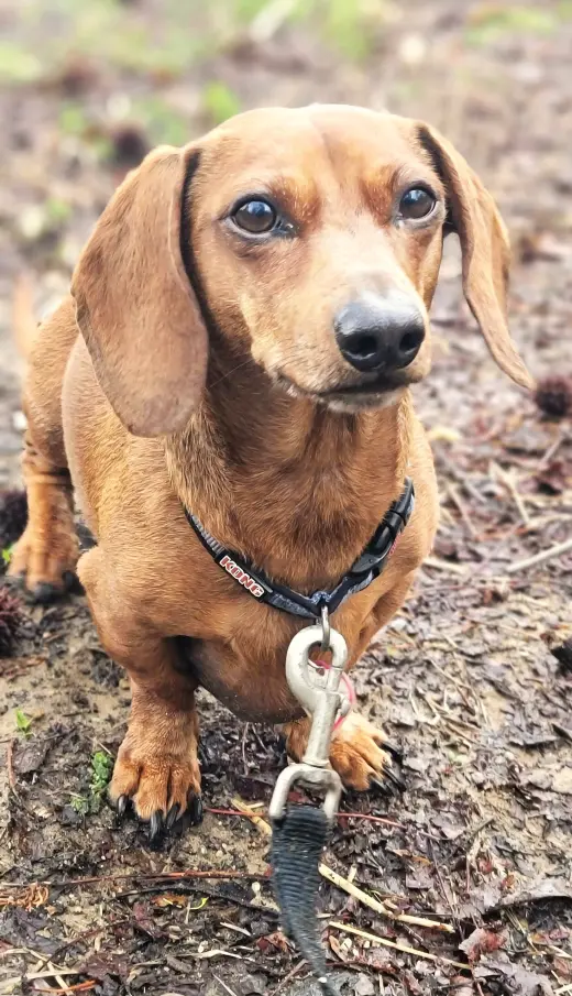 Luke in NC