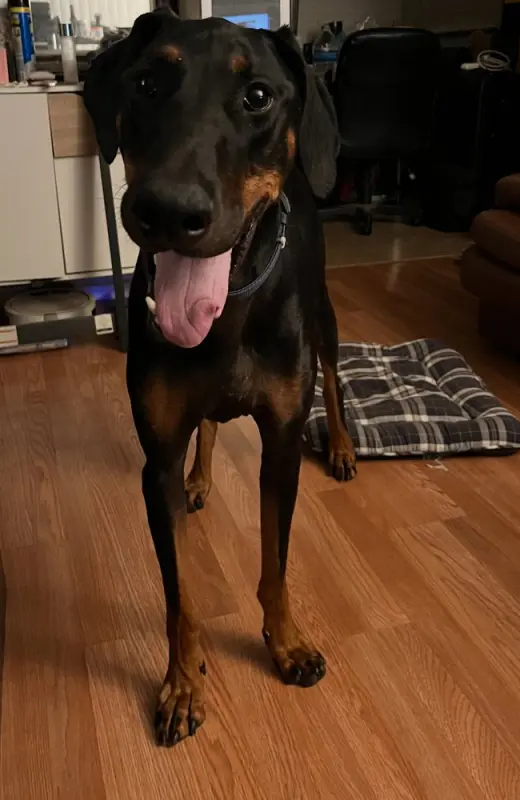 Zeke