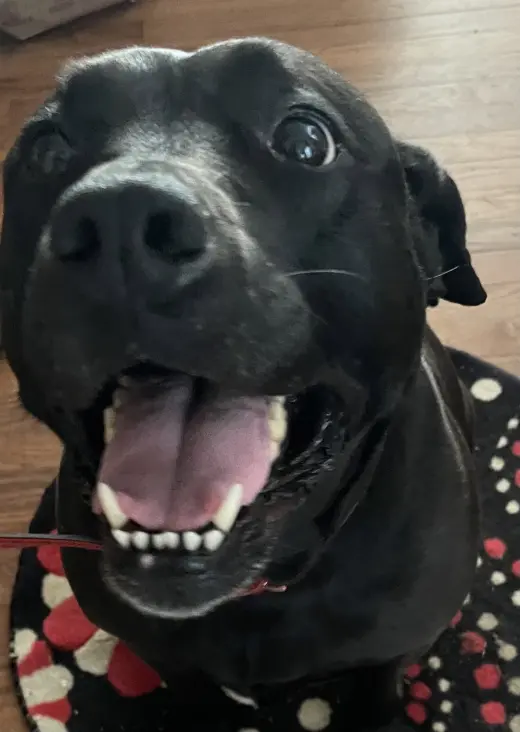 Chloe