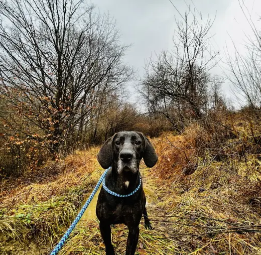 Duke