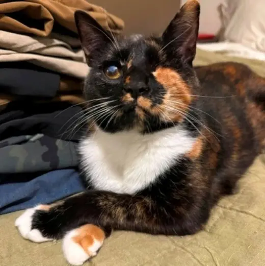 Ella