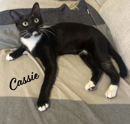 Cassie #it-takes-a-village-momma