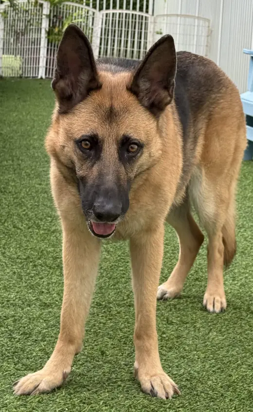Kira