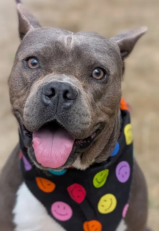 Max