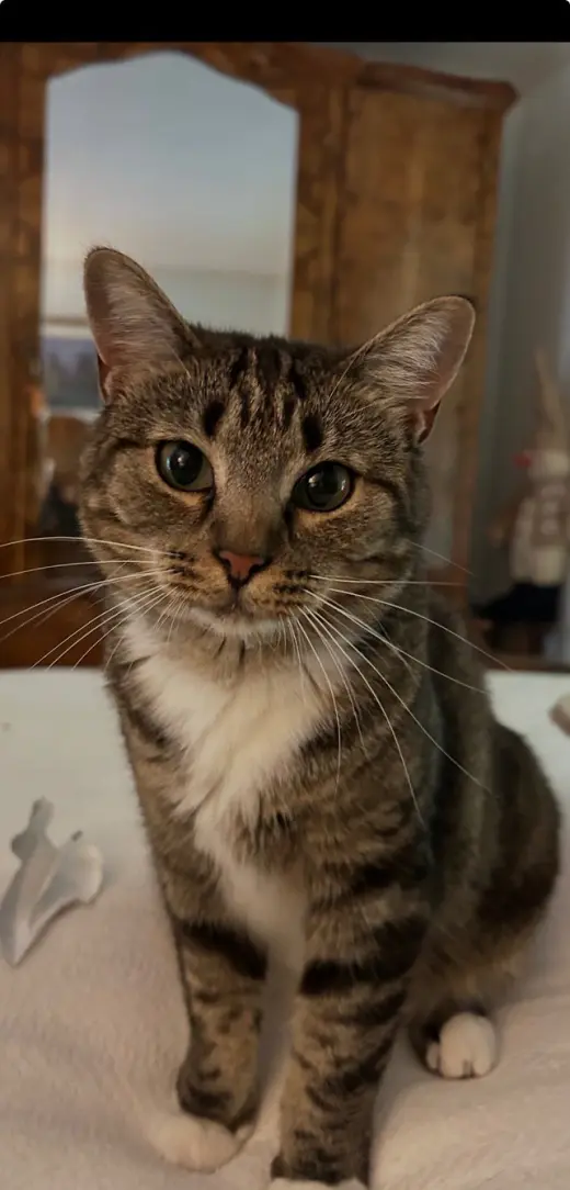 MARNIE - $150/Mo. FOSTER!! Perm Even Better!!