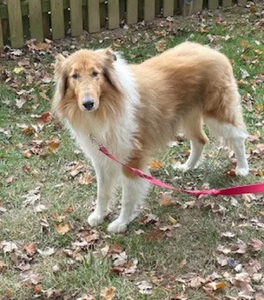 Charlie