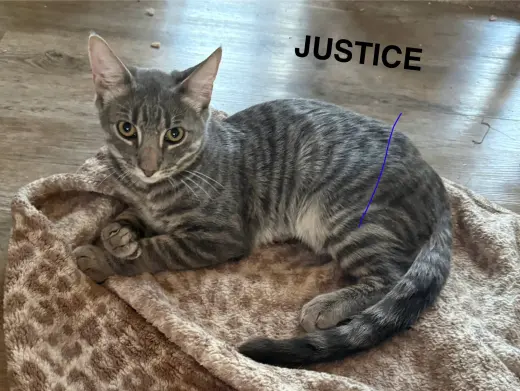Justice