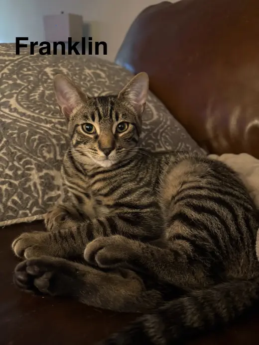 Franklin