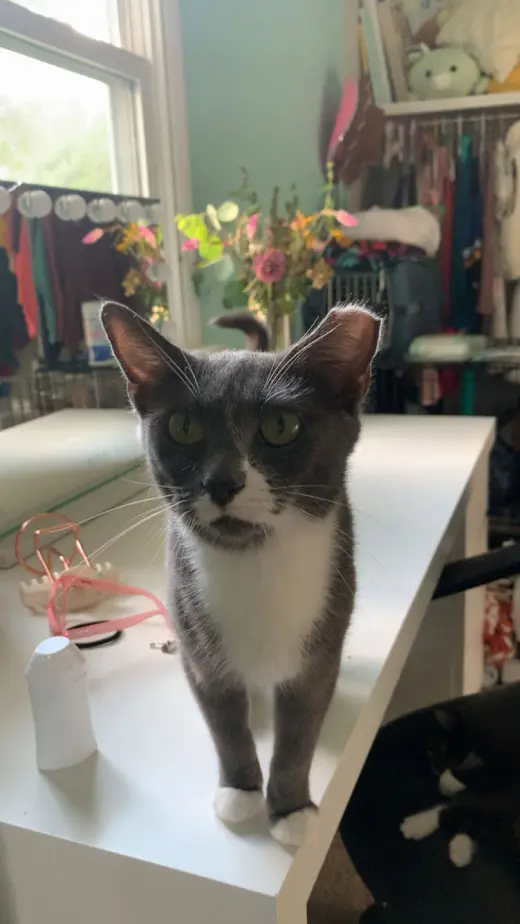 Rhonda