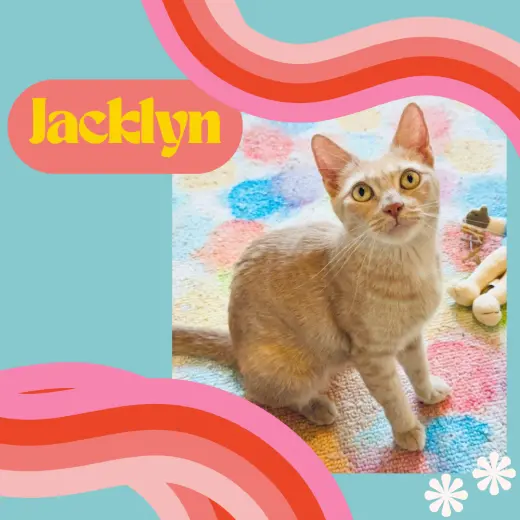 Jacklyn