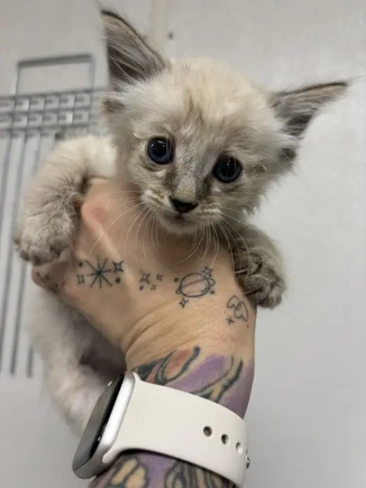 TOFU