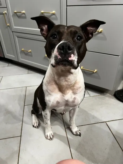 Abbie