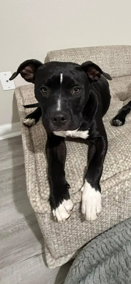 Mystique AKA Cali *BONDED* with Magneto AKA Cash