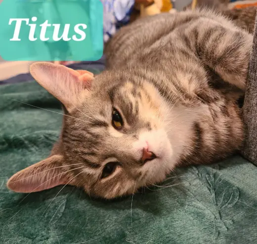 Titus