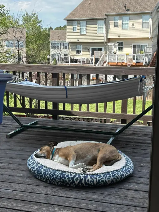 Walter 0573