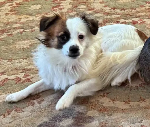Truman